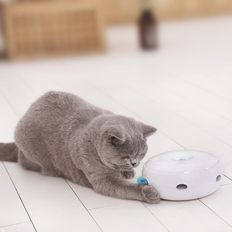 Electric Teasing Toy for Cats